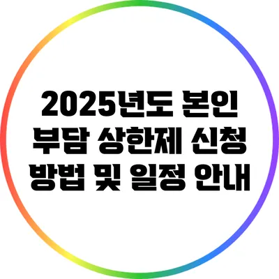 2025년도 본인 부담 상한제 신청 방법 및 일정 안내