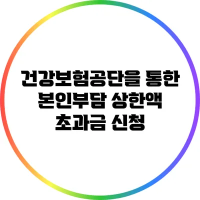 건강보험공단을 통한 본인부담 상한액 초과금 신청