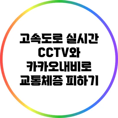 고속도로 실시간 CCTV와 카카오내비로 교통체증 피하기