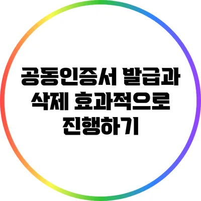 공동인증서 발급과 삭제: 효과적으로 진행하기