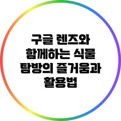 구글 렌즈와 함께하는 식물 탐방의 즐거움과 활용법