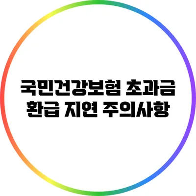 국민건강보험 초과금 환급 지연 주의사항