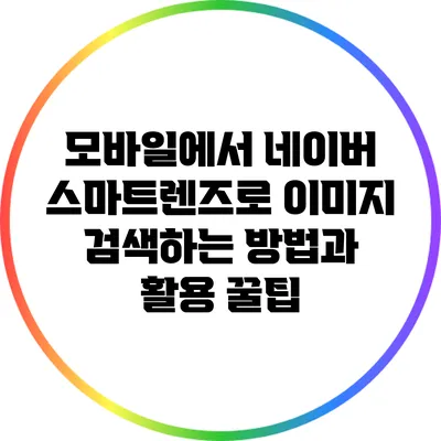 모바일에서 네이버 스마트렌즈로 이미지 검색하는 방법과 활용 꿀팁