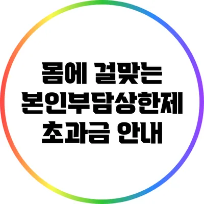 몸에 걸맞는 본인부담상한제 초과금 안내