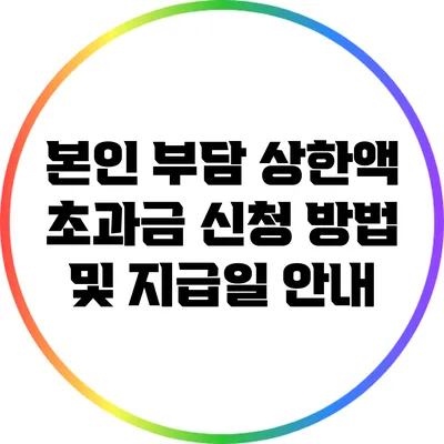 본인 부담 상한액 초과금 신청 방법 및 지급일 안내