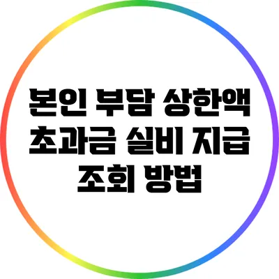 본인 부담 상한액 초과금 실비 지급 조회 방법