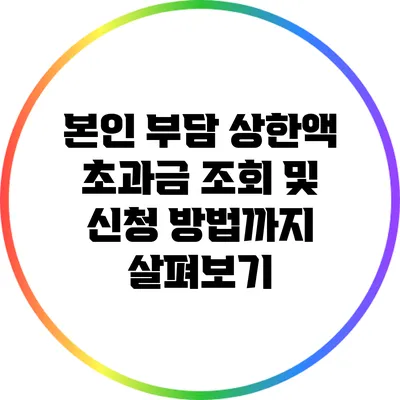 본인 부담 상한액 초과금 조회 및 신청 방법까지 살펴보기