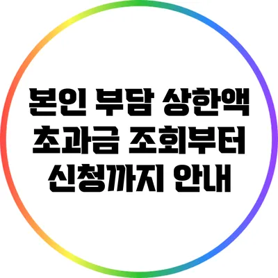 본인 부담 상한액 초과금 조회부터 신청까지 안내