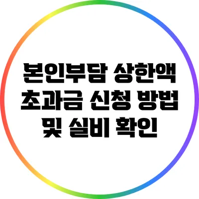 본인부담 상한액 초과금 신청 방법 및 실비 확인