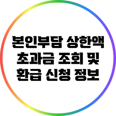 본인부담 상한액 초과금 조회 및 환급 신청 정보