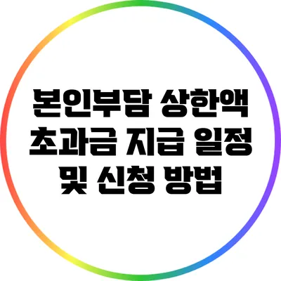 본인부담 상한액 초과금 지급 일정 및 신청 방법
