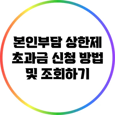 본인부담 상한제 초과금 신청 방법 및 조회하기