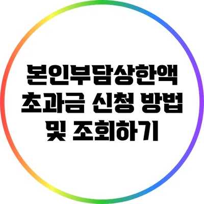 본인부담상한액 초과금 신청 방법 및 조회하기