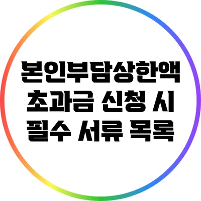 본인부담상한액 초과금 신청 시 필수 서류 목록