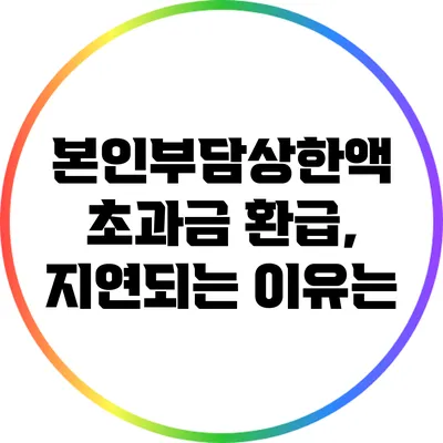 본인부담상한액 초과금 환급, 지연되는 이유는?