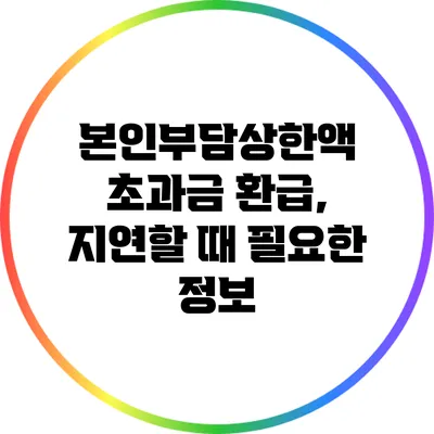 본인부담상한액 초과금 환급, 지연할 때 필요한 정보