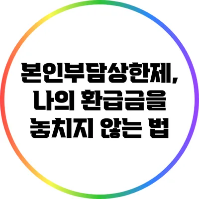 본인부담상한제, 나의 환급금을 놓치지 않는 법