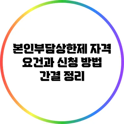 본인부담상한제: 자격 요건과 신청 방법 간결 정리