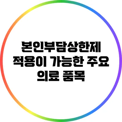 본인부담상한제 적용이 가능한 주요 의료 품목