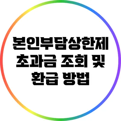 본인부담상한제 초과금 조회 및 환급 방법