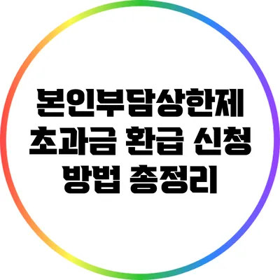 본인부담상한제 초과금 환급 신청 방법 총정리