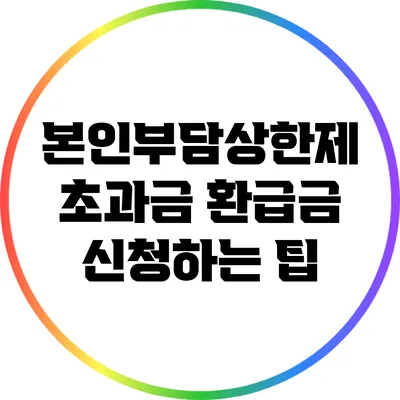 본인부담상한제 초과금 환급금 신청하는 팁