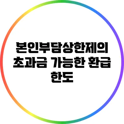 본인부담상한제의 초과금 가능한 환급 한도