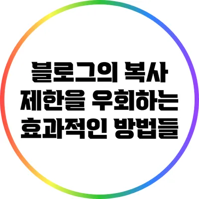 블로그의 복사 제한을 우회하는 효과적인 방법들