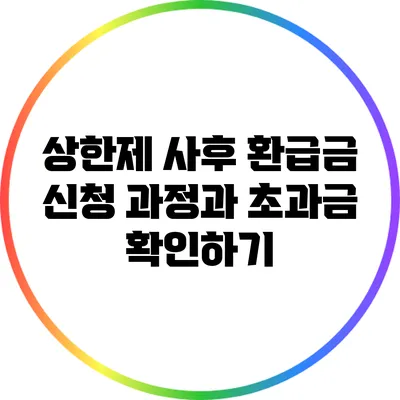 상한제 사후 환급금 신청 과정과 초과금 확인하기