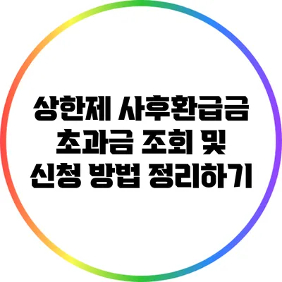 상한제 사후환급금 초과금 조회 및 신청 방법 정리하기