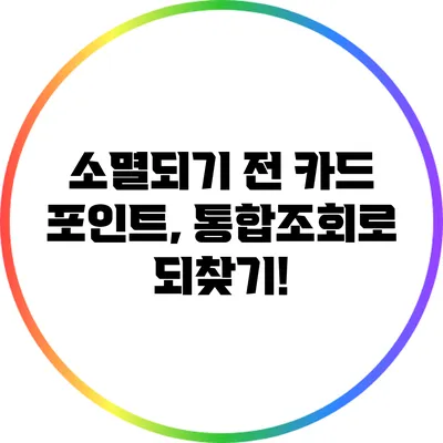 소멸되기 전 카드 포인트, 통합조회로 되찾기!
