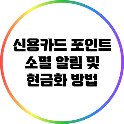신용카드 포인트 소멸 알림 및 현금화 방법