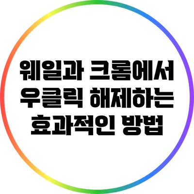 웨일과 크롬에서 우클릭 해제하는 효과적인 방법