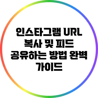 인스타그램 URL 복사 및 피드 공유하는 방법 완벽 가이드