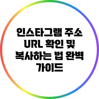 인스타그램 주소 URL 확인 및 복사하는 법 완벽 가이드