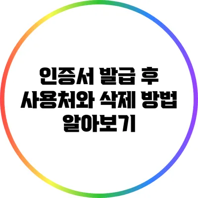 인증서 발급 후 사용처와 삭제 방법 알아보기