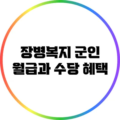 장병복지: 군인 월급과 수당 혜택