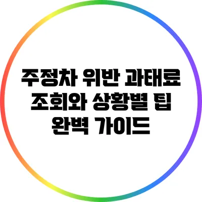 주정차 위반 과태료 조회와 상황별 팁 완벽 가이드