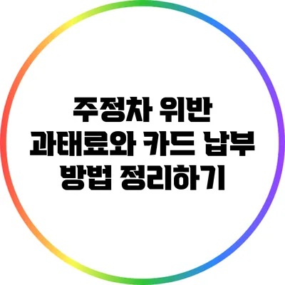 주정차 위반 과태료와 카드 납부 방법 정리하기