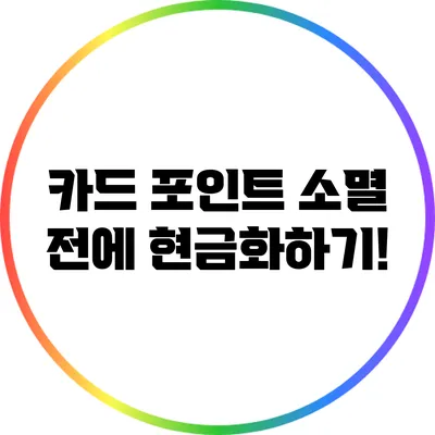 카드 포인트 소멸 전에 현금화하기!