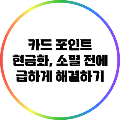 카드 포인트 현금화, 소멸 전에 급하게 해결하기