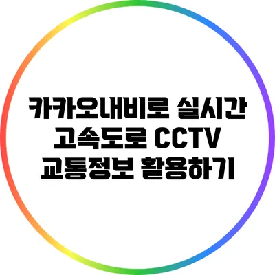 카카오내비로 실시간 고속도로 CCTV 교통정보 활용하기