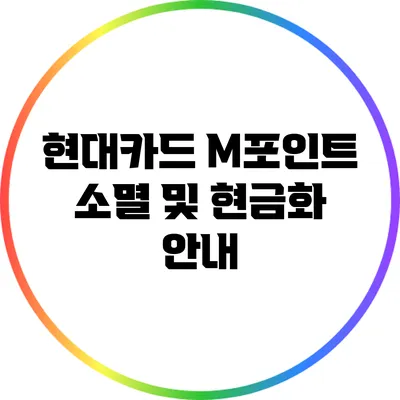 현대카드 M포인트 소멸 및 현금화 안내