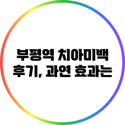 부평역 치아미백 후기, 과연 효과는?