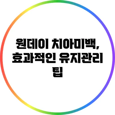 원데이 치아미백, 효과적인 유지관리 팁