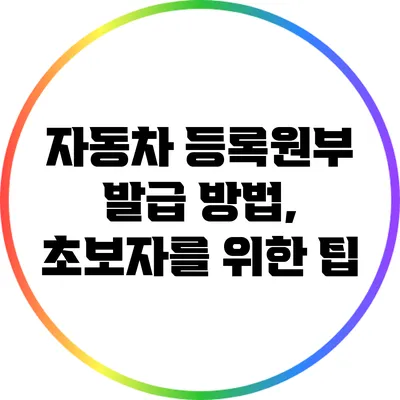 자동차 등록원부 발급 방법, 초보자를 위한 팁