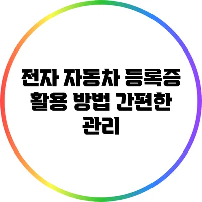 전자 자동차 등록증 활용 방법: 간편한 관리