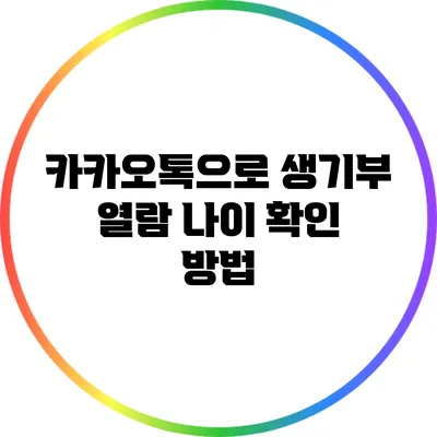 카카오톡으로 생기부 열람: 나이 확인 방법