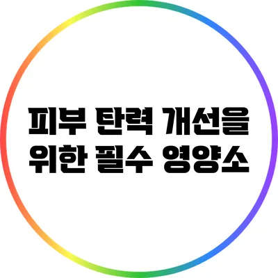 피부 탄력 개선을 위한 필수 영양소