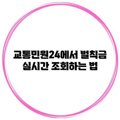 교통민원24에서 벌칙금 실시간 조회하는 법